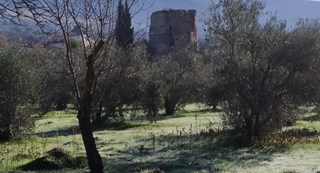 Torre de Márgena
