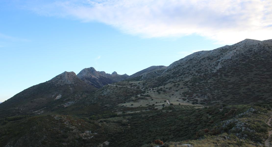 Torreón de Cogollos de la Vega