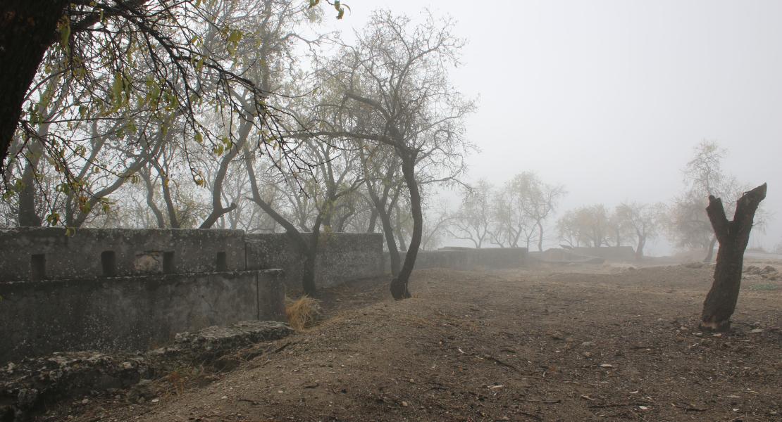 Trincheras de Tózar