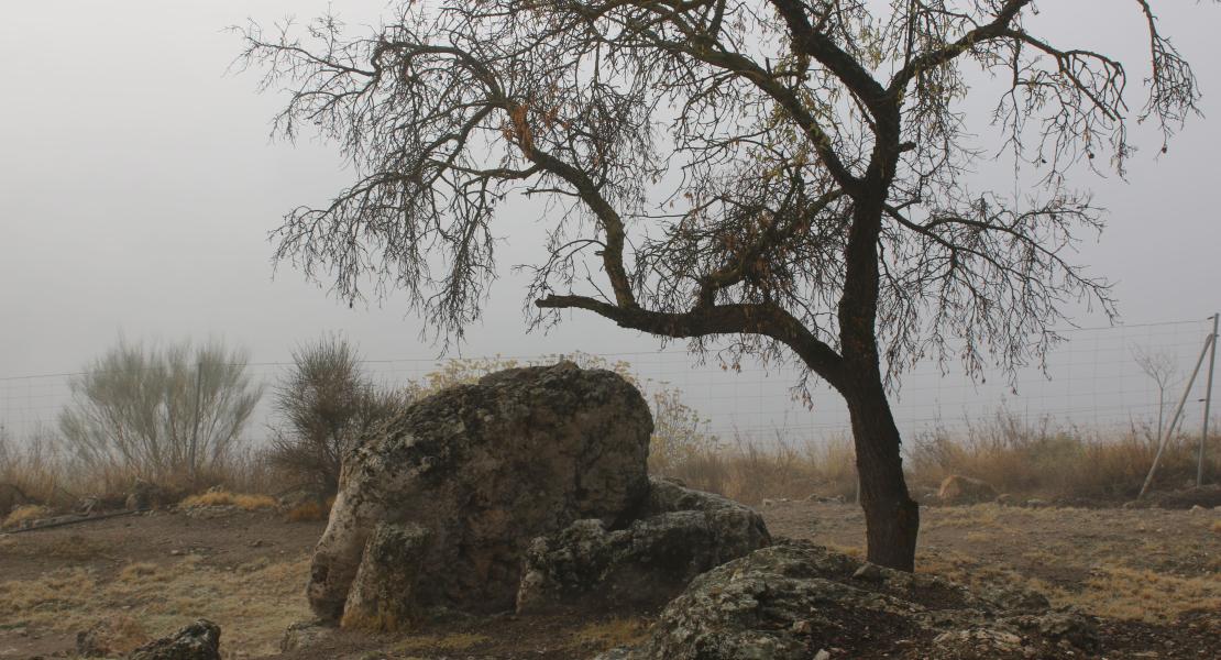 "Pileta de la Mora"