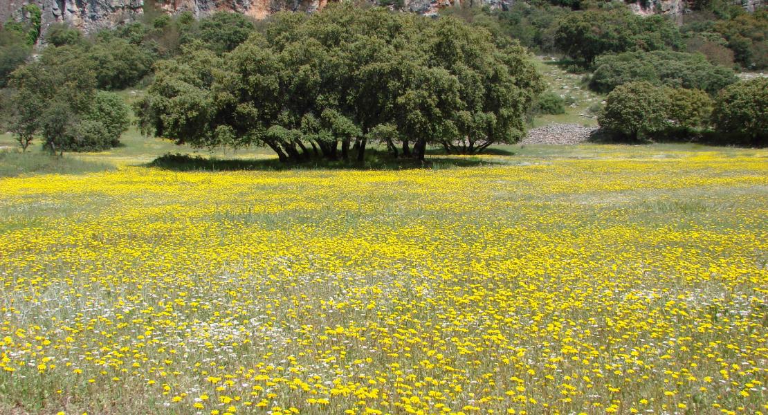 Zona en la que se ubican las necrópolis megalíticas