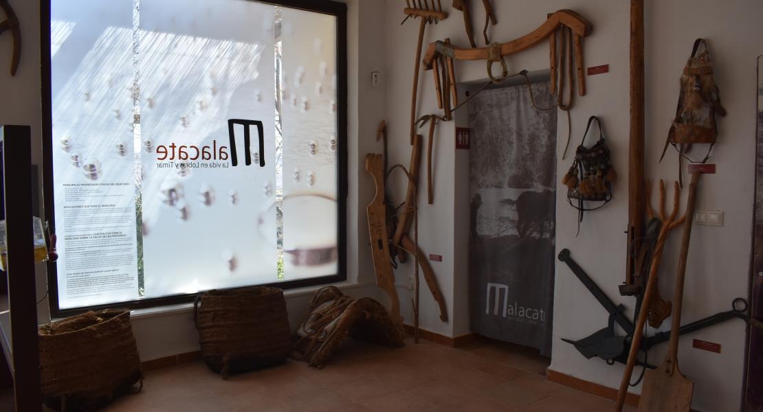 Museo Malacate