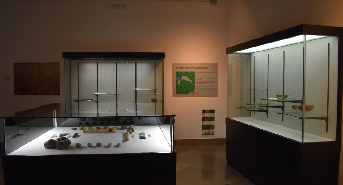 Museo Arqueológico de Baza