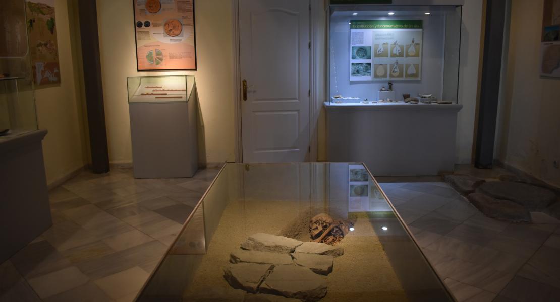 Museo Arqueológico de Galera - MEMOLab