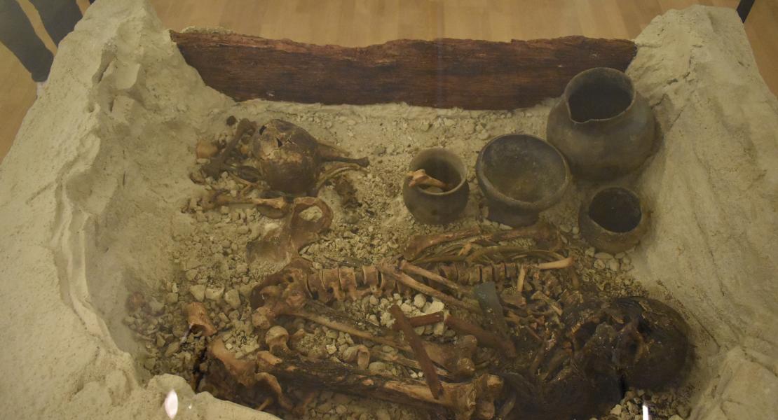 Museo Arqueológico de Galera - MEMOLab