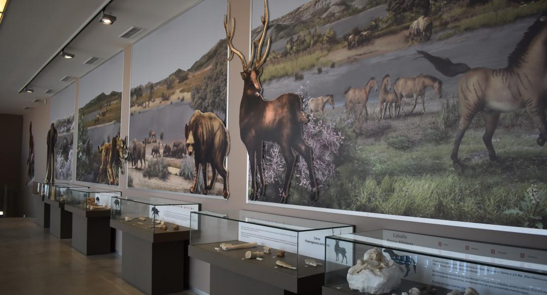 Museo de los primeros pobladores de Orce 