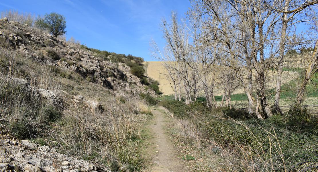 Sendero de camino al puente