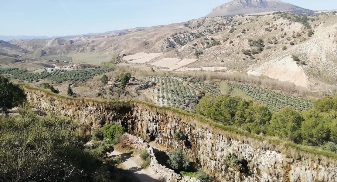 Acequia del Toril