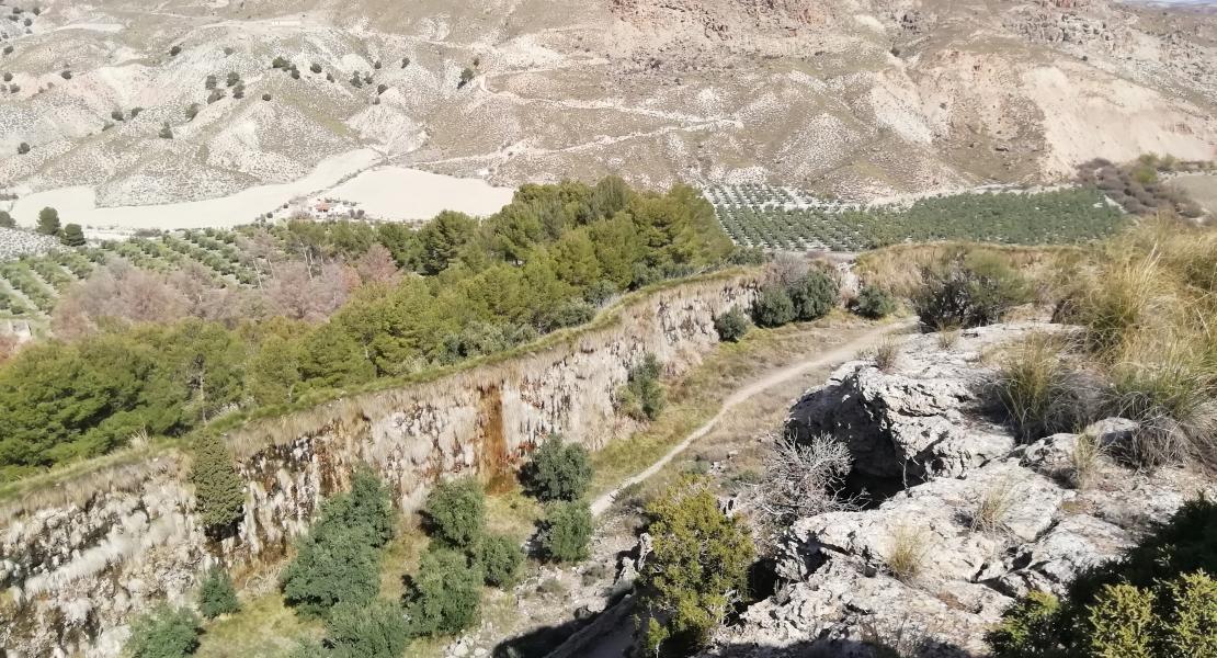 Acequia del Toril