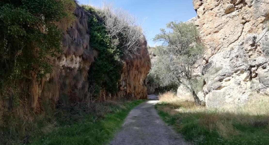 Acequia del Toril