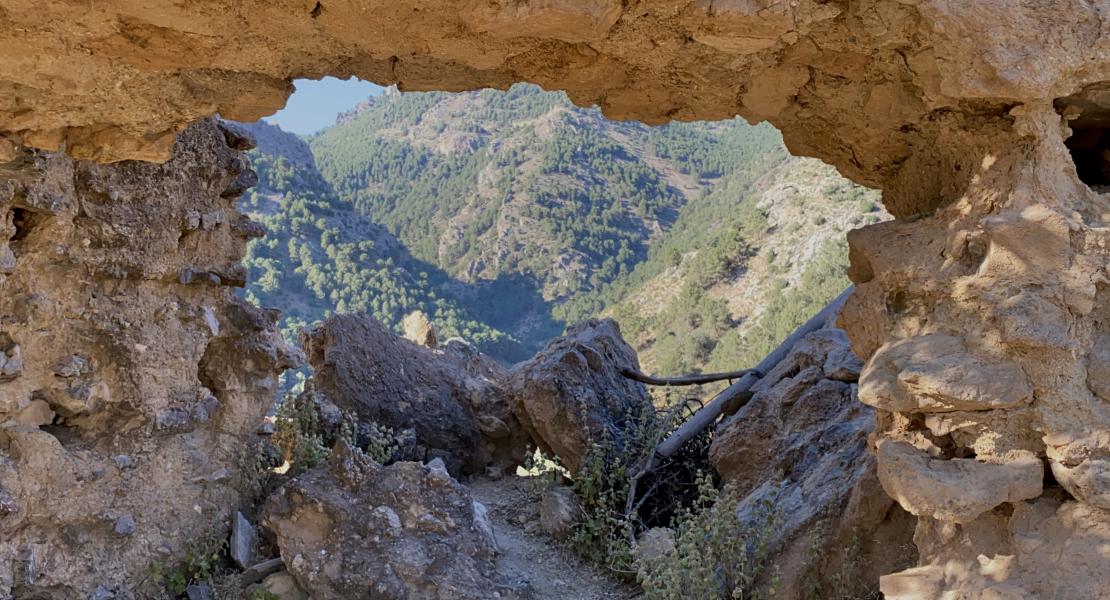 Castillejo de Güéjar Sierra 