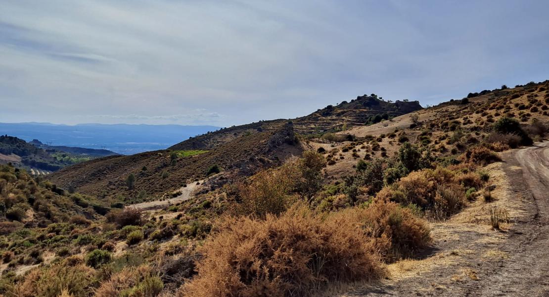 Trincheras del Peñón de la Mata 