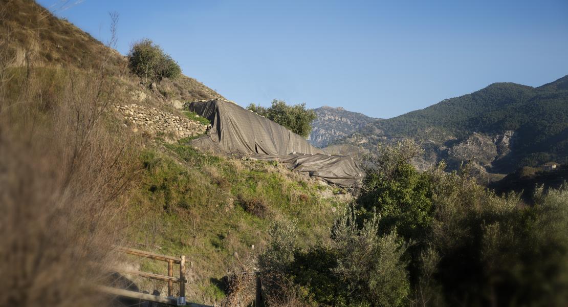 Cerro de la Encina