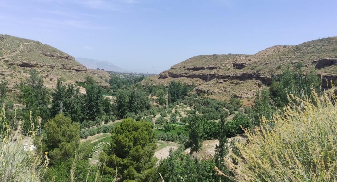 Paisaje asociado al regadío histórico de la acequia de Caniles. Fotografía: Memolab-UGR