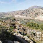 Acequia del Toril