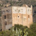 Imagen de la torre y su espacio cercano - Fotografía: IAPH